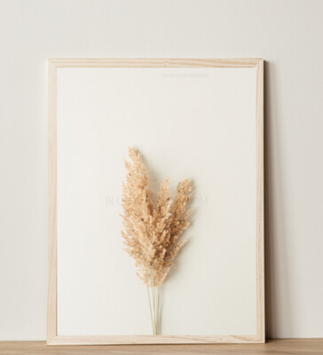 Pampas Print - Home