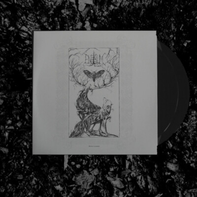 Enisum Moth's Illusion - Double LP