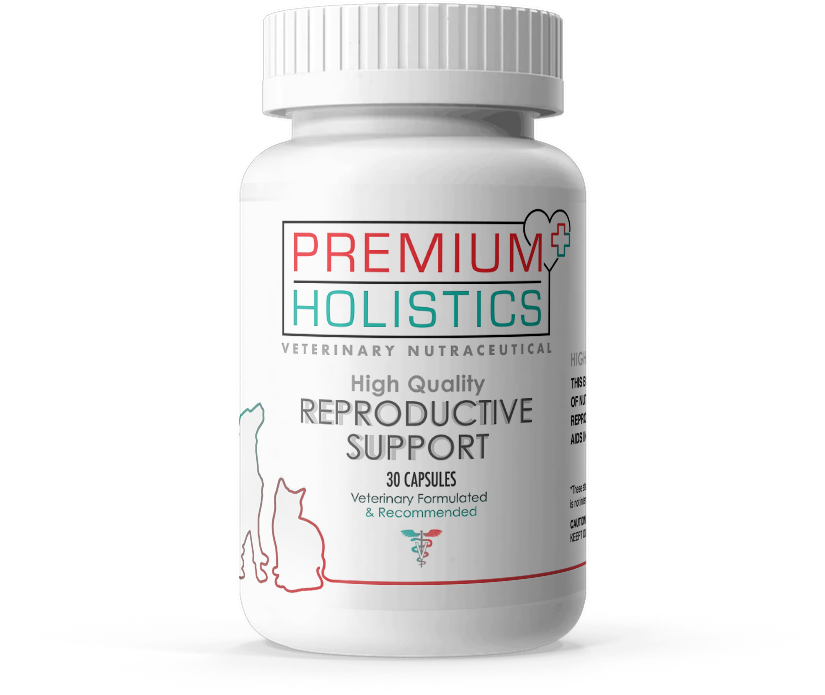 Premium Holistics Immune Support