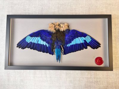 Kunst Art