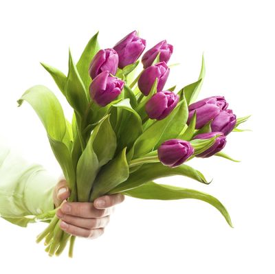 Ramos de Flores