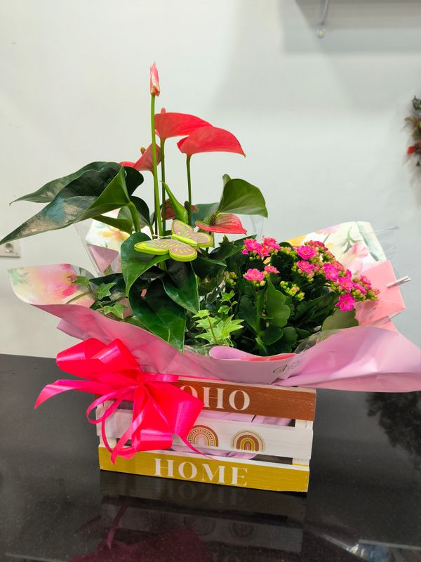 Cesta con Plantas