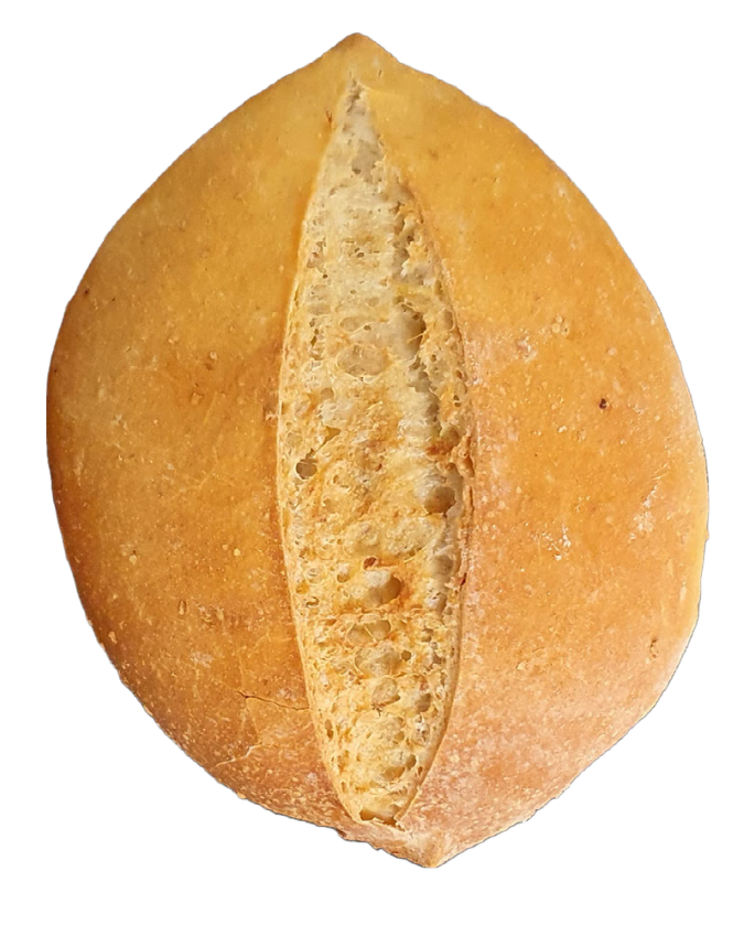 Bicudos