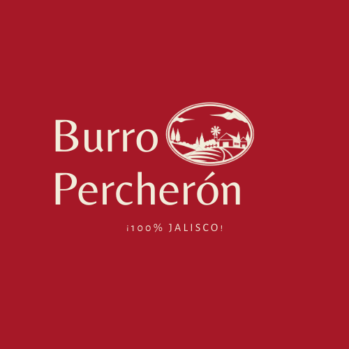 BURRO PERCHERON ¡100% JALISCO!