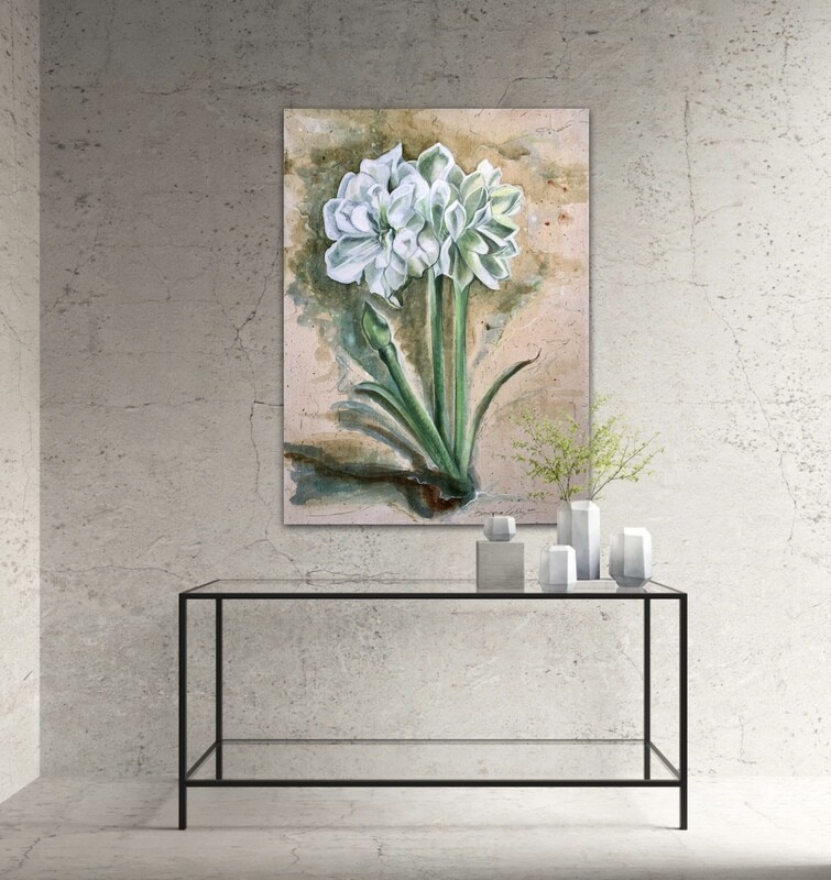 Amaryllis