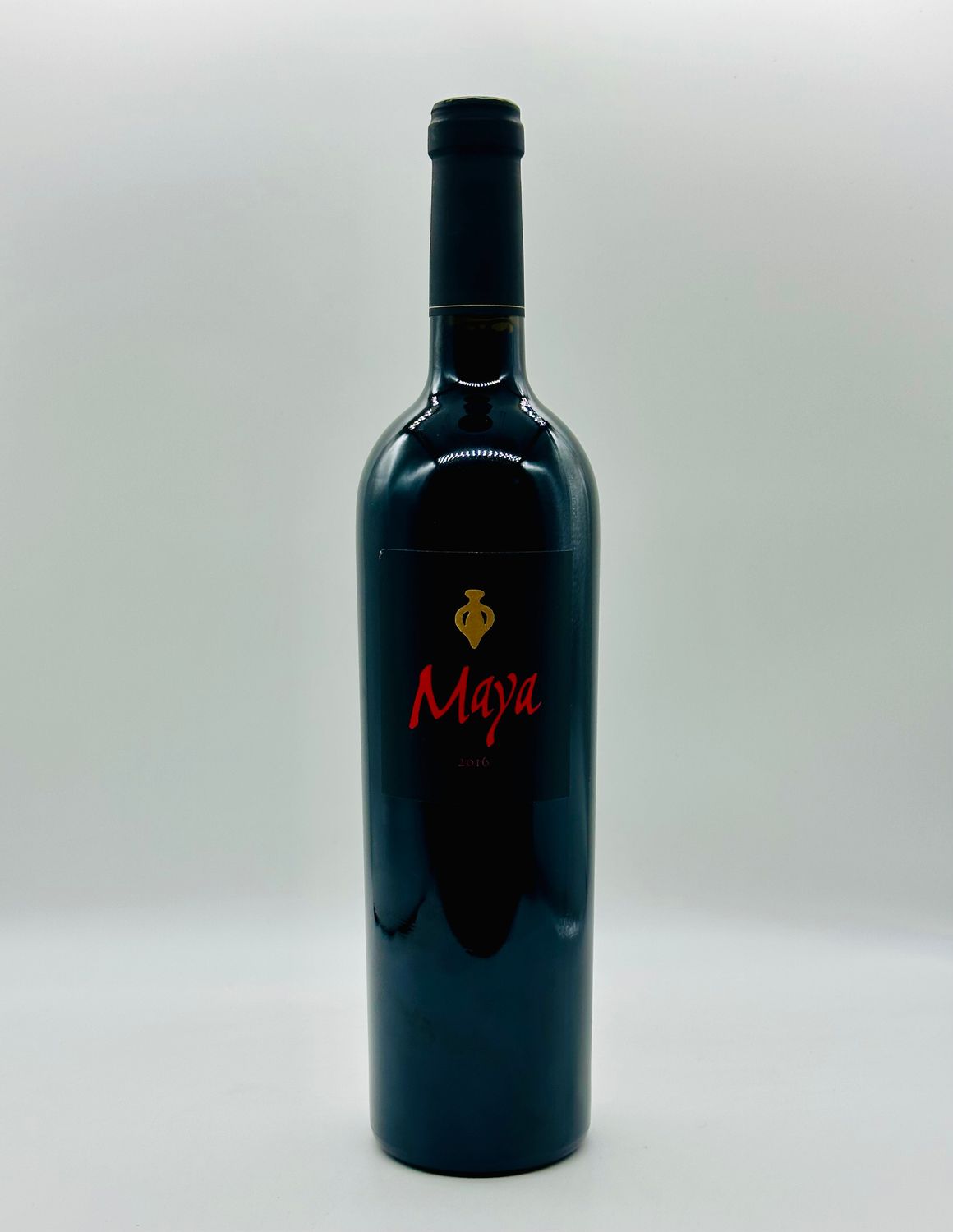 Dalle Valle Maya 2016