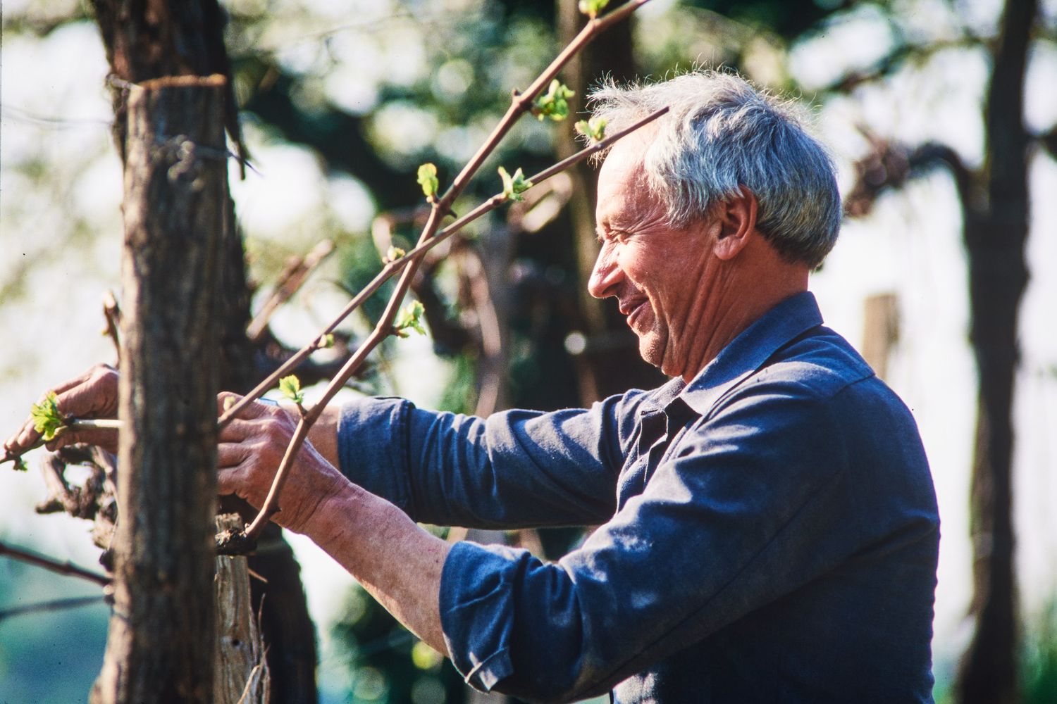 Edi Simcic Winemaker Dinner featuring Lucy Anne's Monday, March 2nd