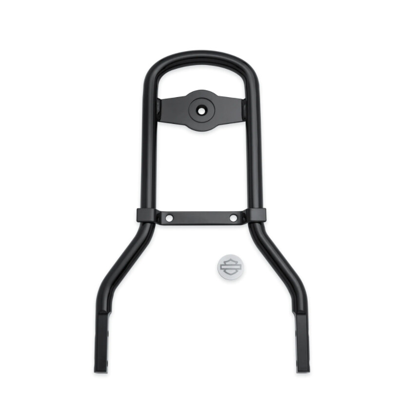 Seats - Standard Mini-Medallion Style Sissy Bar Upright