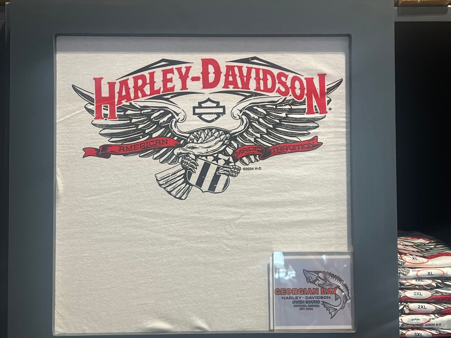 Men&#39;s Custom Tee -Eagle 66 T