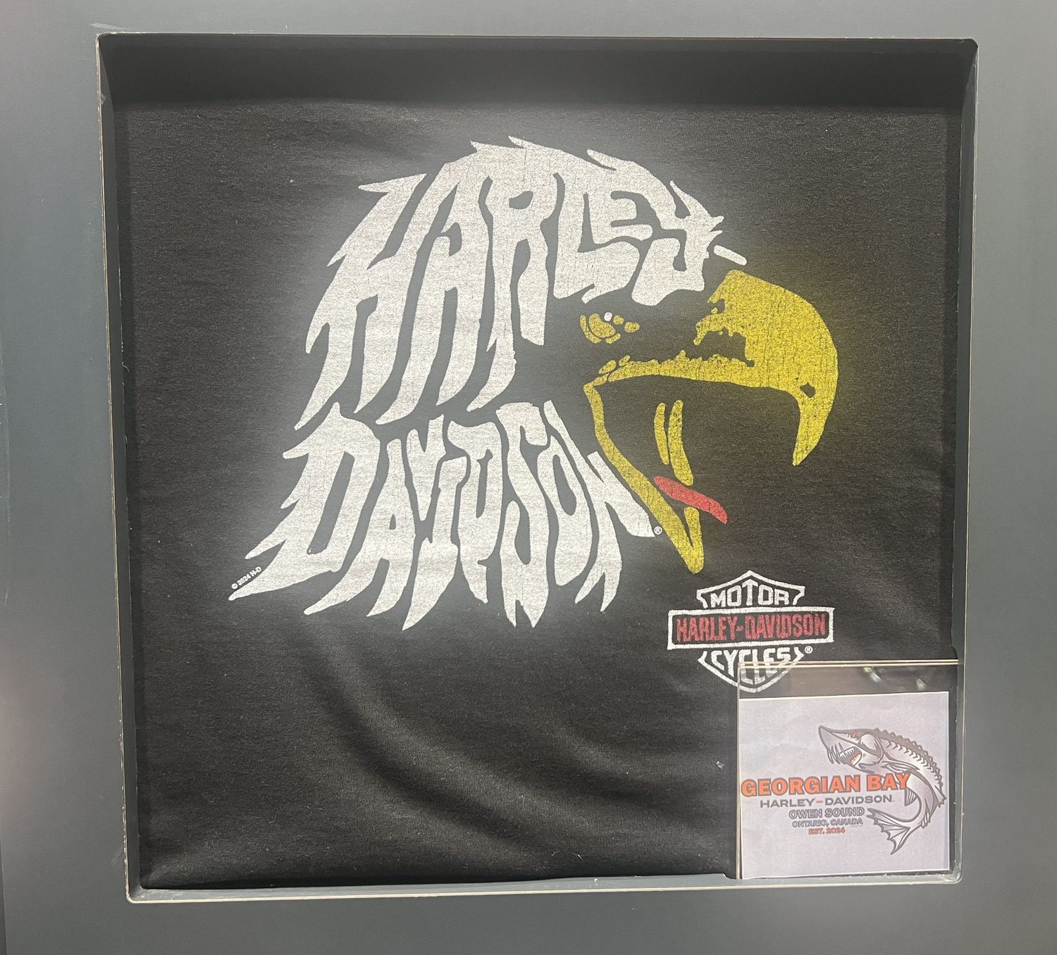 Women&#39;s Custom Shirt - Spirit Eagle T