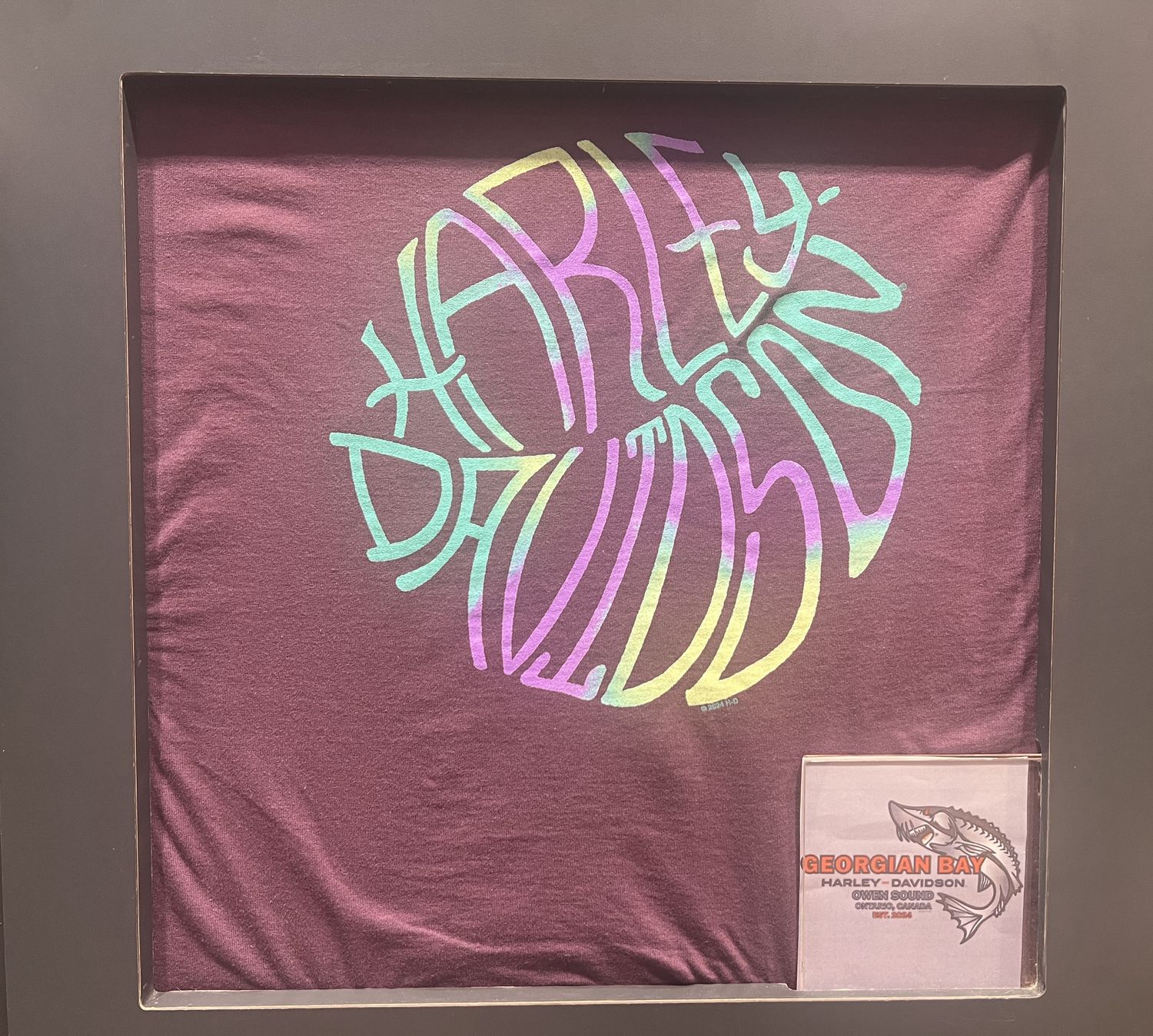 Women's Custom Shirt - H-D Cosmo Tee