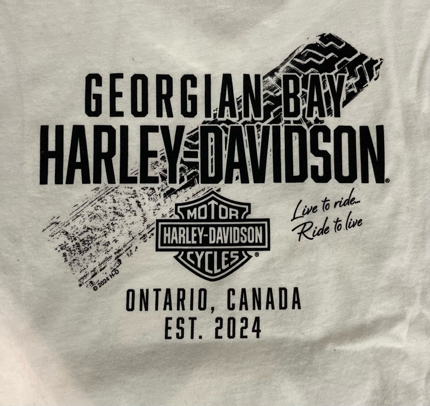 Women's Custom Shirt - H-D Buddy Dog V-Neck Tee