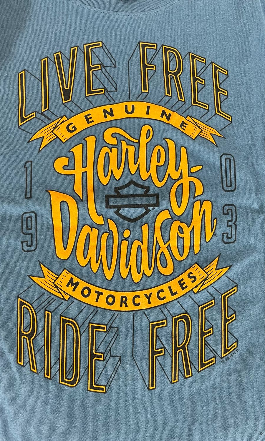 Women's Custom Shirt - H-D Sunshine Blue Tee