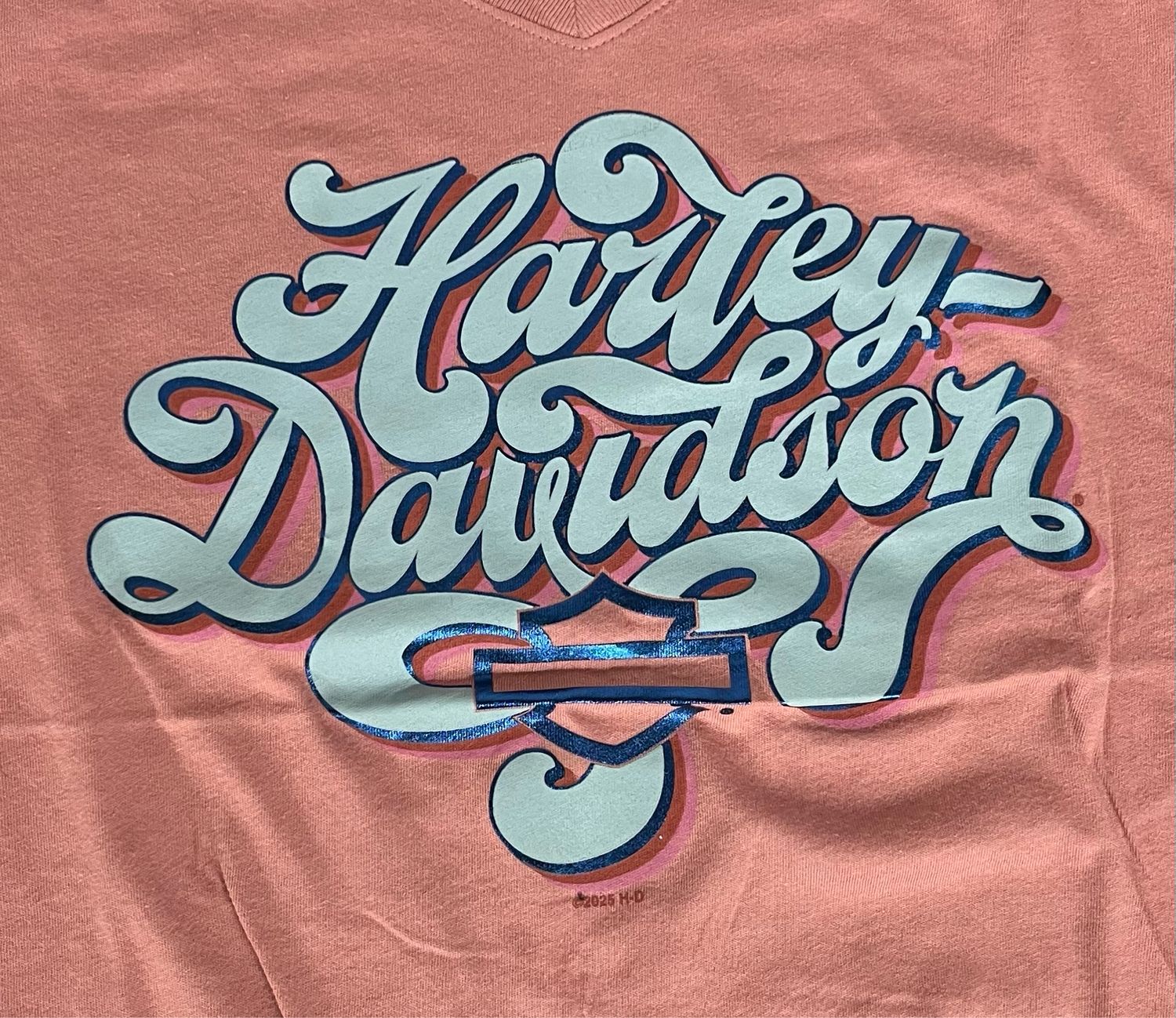 Women's Custom Shirt - H-D Scripty V-Neck Tee