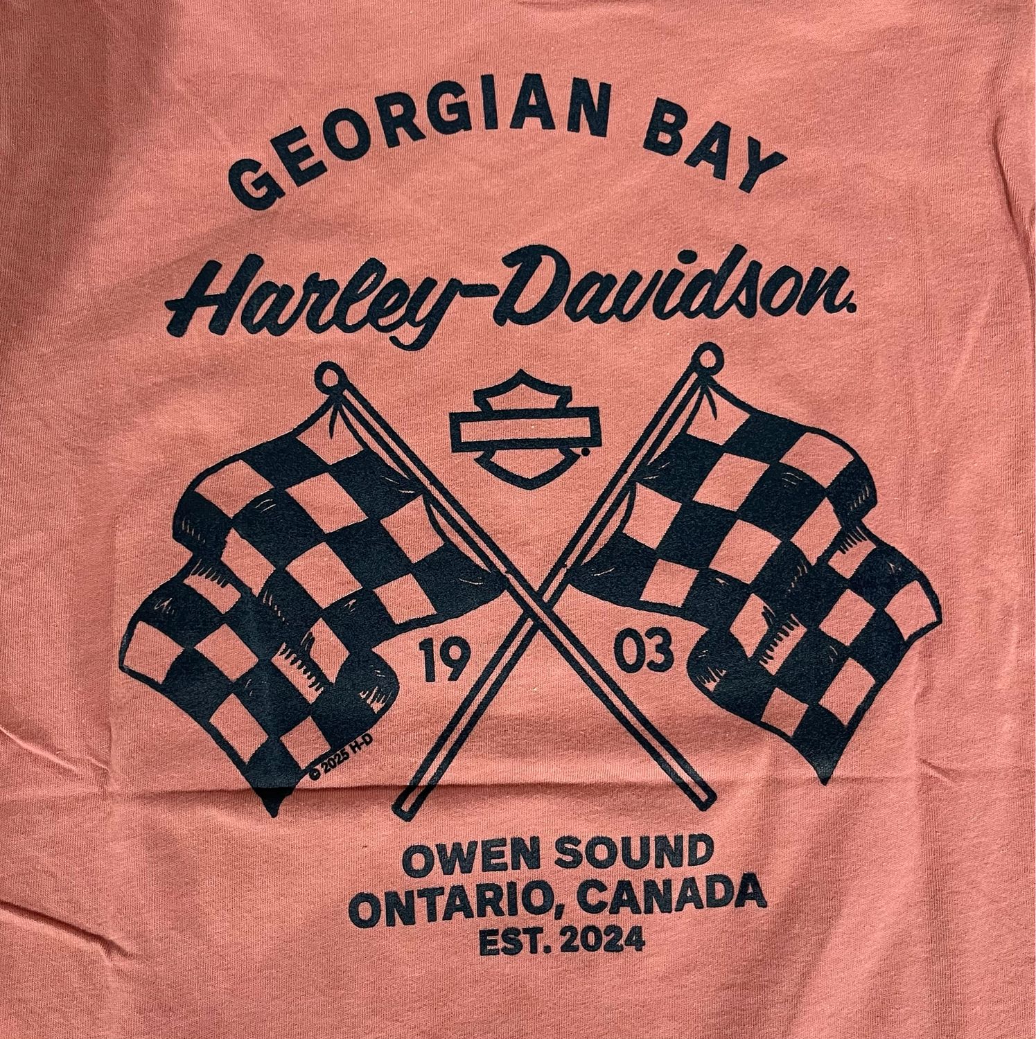 Women's Custom Shirt - H-D Scripty V-Neck Tee