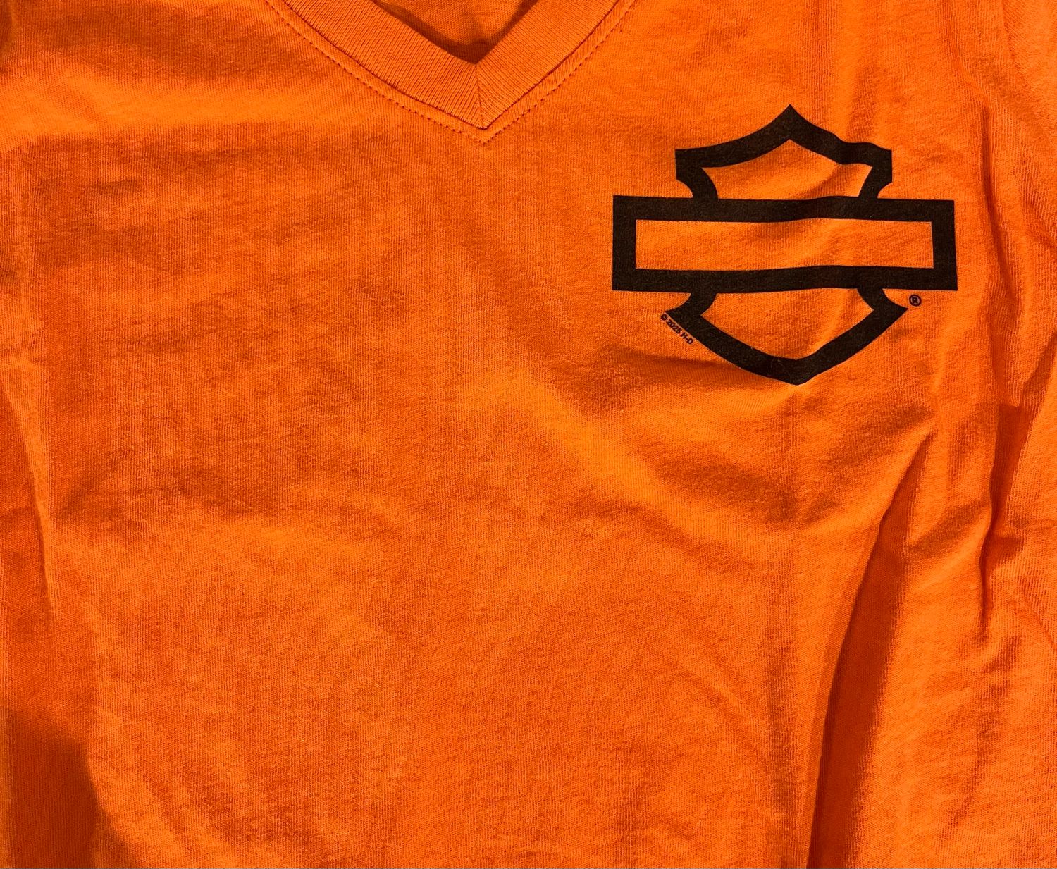 Women's Custom Shirt - H-D B&amp;S V-Neck Tee