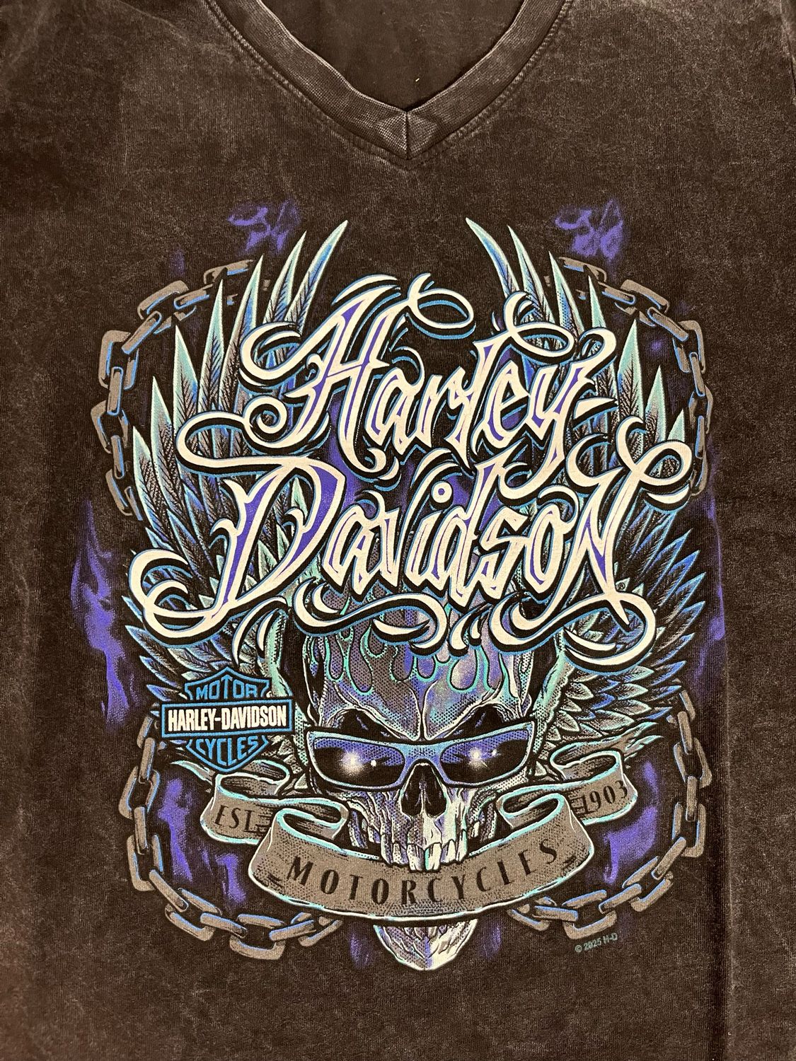 Women's Custom Shirt - H-D Wild Child Dyed V-Neck Tee