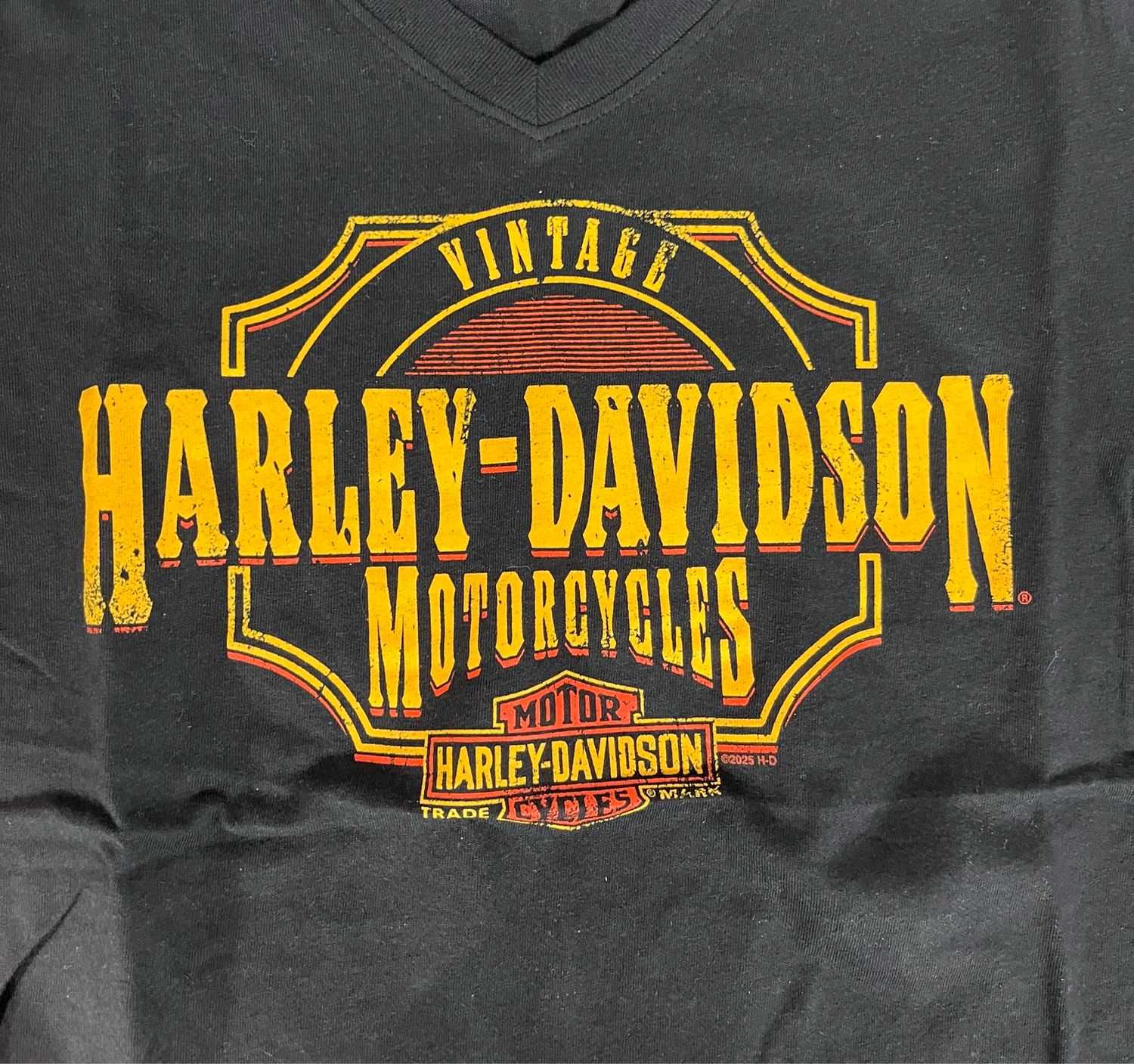 Women's Custom Shirt - Saloon V-Neck Tee