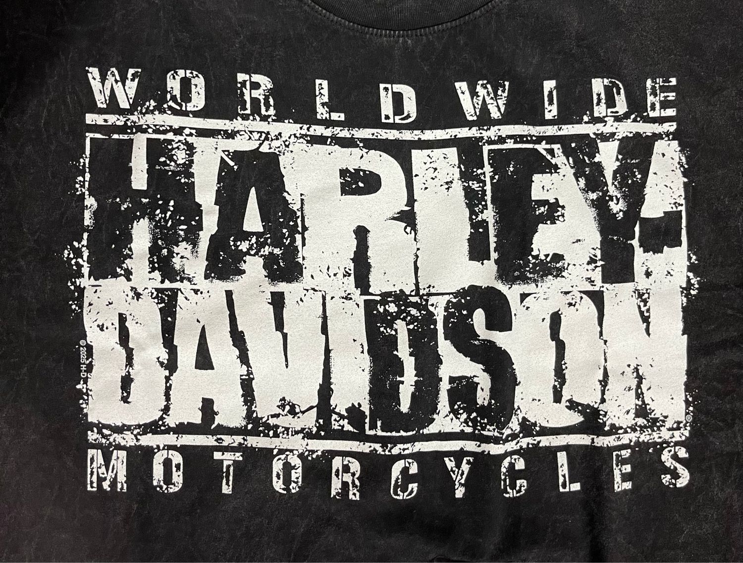 Men's Custom Tee - Worldwide Tee