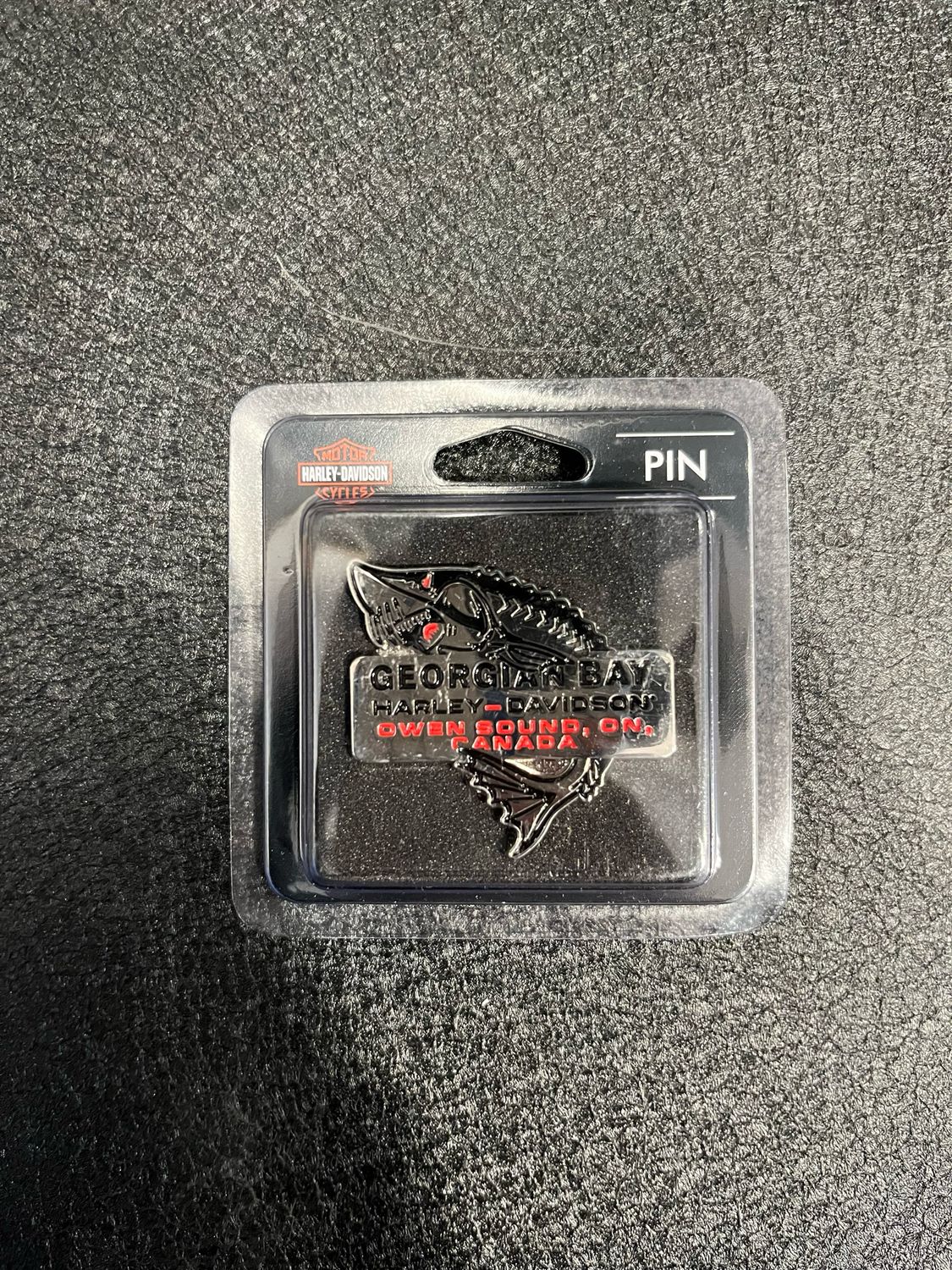 Georgian Bay Harley Pin