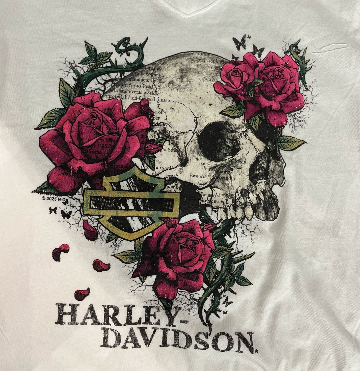 Women's Custom Shirt - Story of The Soul V-Neck Tee