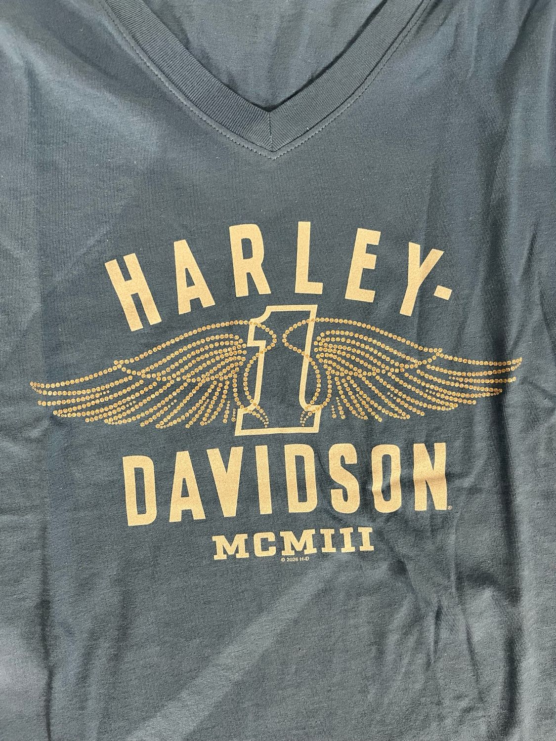 Women's Custom Shirt - Winged One V-Neck Tee