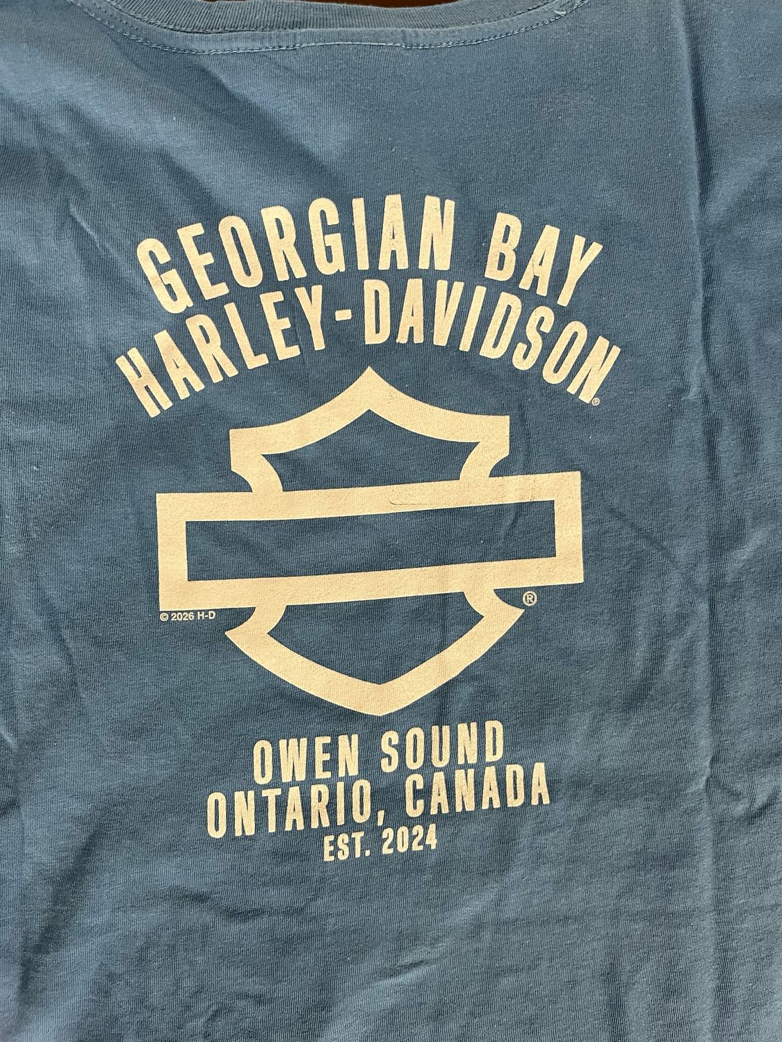 Women's Custom Shirt - Winged One V-Neck Tee