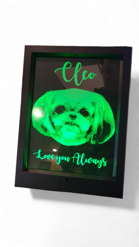 Led frame