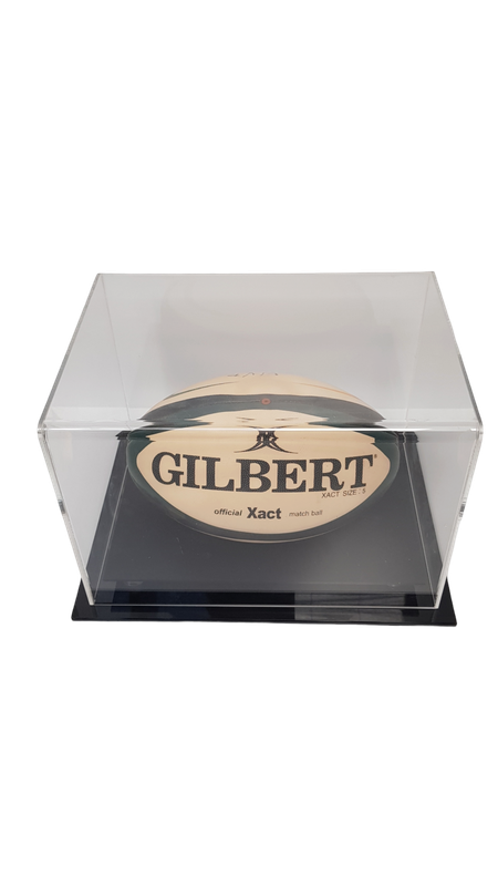 Football Ball Display Cover