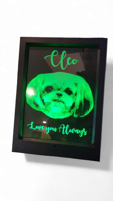 Led frame
