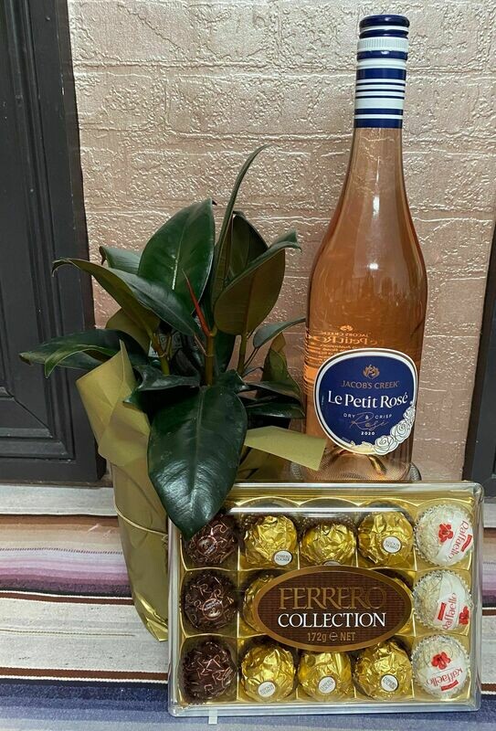 A Little Something with Rose