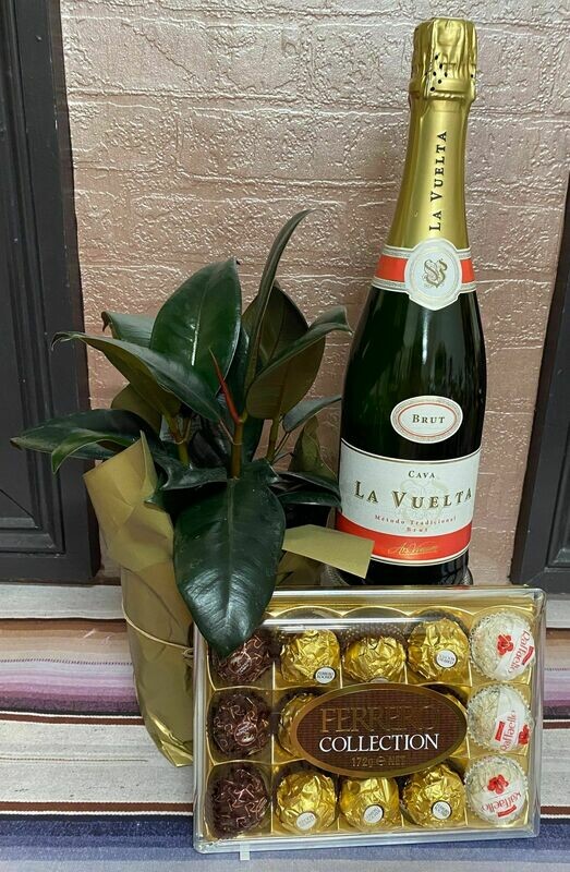 A Little Something with Sparkling