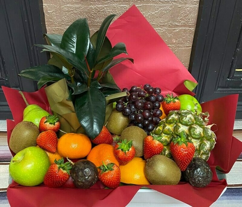 Fresh and Fruity
