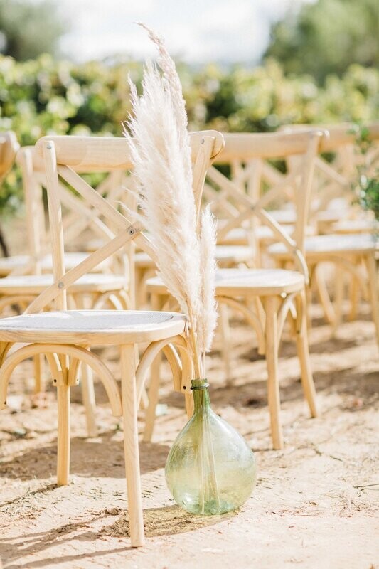 Dame Jeanne  + 5 pampas Taille moyenne -  (Uniquement disponible à location)