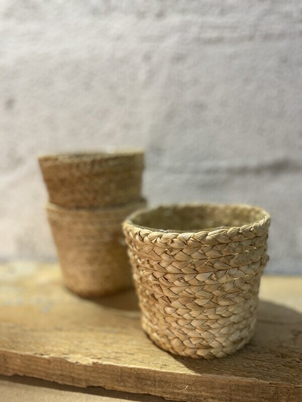 Vanina- Lot de 3 pots en osier - (Uniquement disponible à la location)