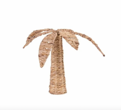 "Plum"- Petit palmier (Uniquement disponible à la location)