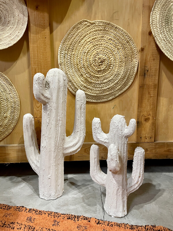 Cactus blanc (lot de 2)