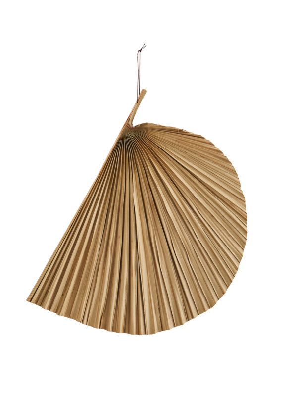 PALMITTA  -Demi feuille- (Uniquement disponible à la location)