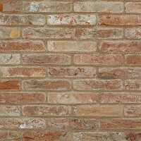 Mattone modello I dogi 12x25x.5