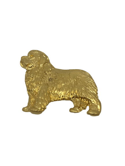 Broche de oro Terranova