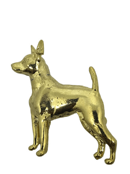 Broche de oro Rater