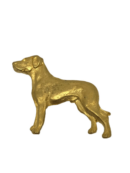 Broche de oro Rhodesian