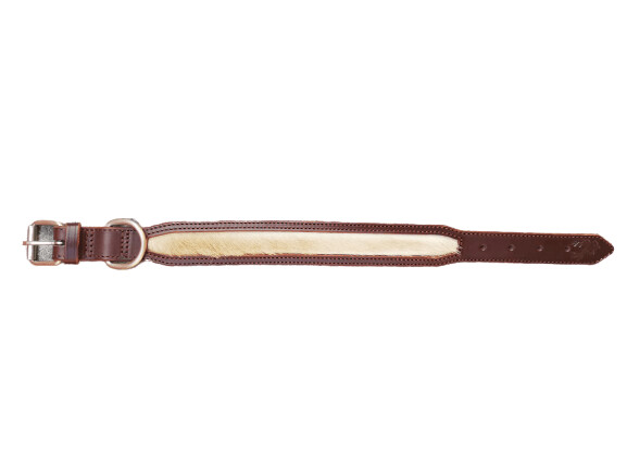 Collar de perro piel marrón pelo gacela