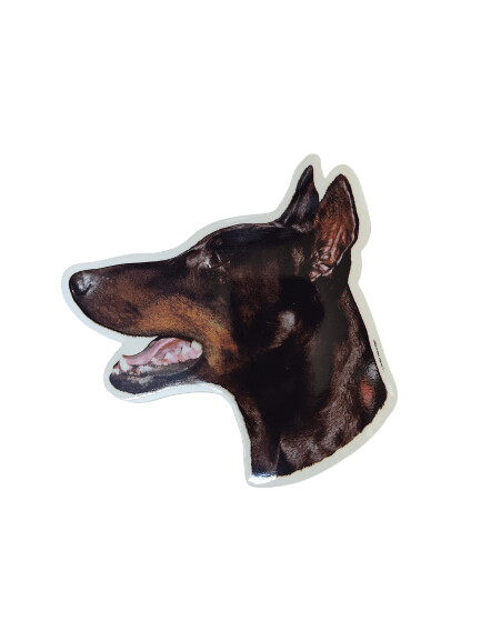 Dobermann Pegatina