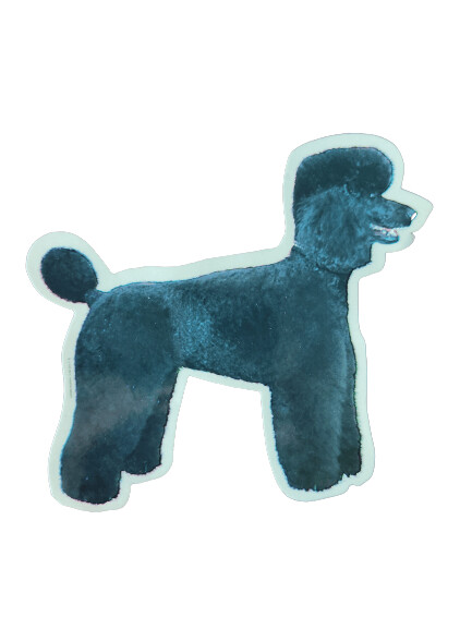Caniche negro Pegatina