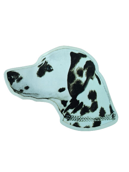 Dalmata Pegatina