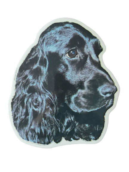 Cocker Ingles Negro Pegatina