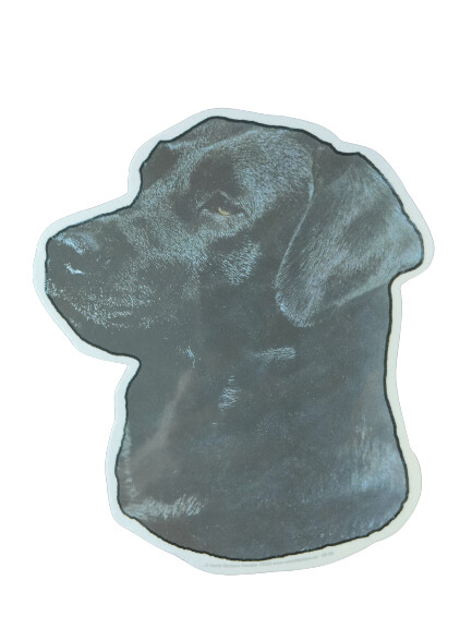 Labrador negro Pegatina