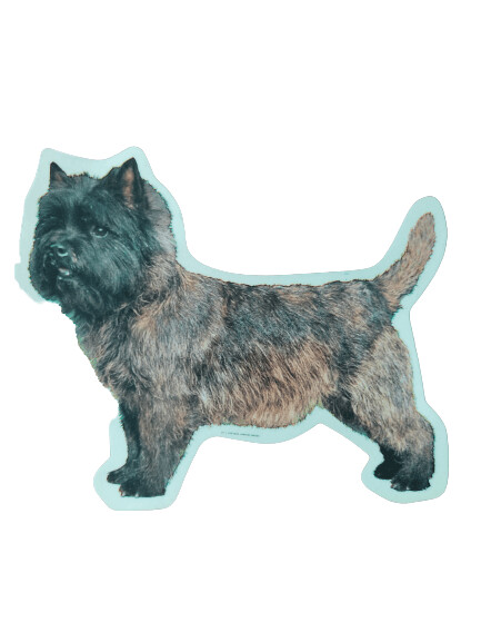 Cairn Terrier Pegatina