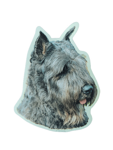 Bouvier de Flandres Pegatina